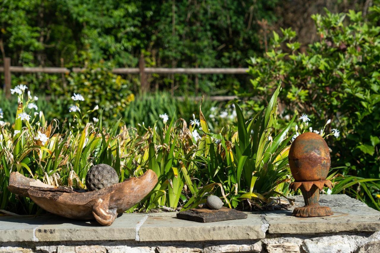 Villa Fenice - Elegant Country House Borgo a Mozzano Zewnętrze zdjęcie